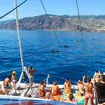 Blue By The Sea House Paul do Mar (Madeira)