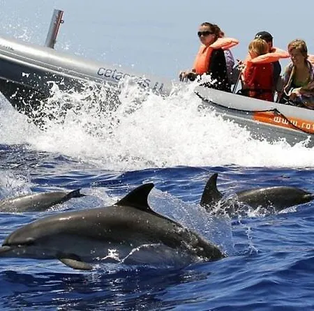 Blue By The Sea House *