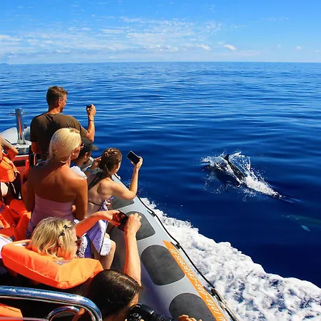 別荘 Blue By The Sea House